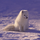 18613852219's avatar